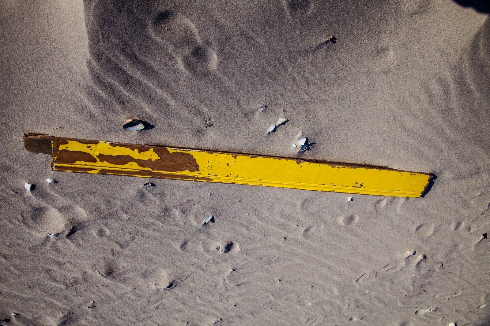 art-of-sandy-mo-long beach-5.jpg